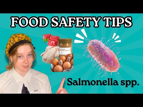 FOOD POISONING: Everything You Need to Know About SALMONELLA