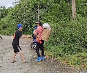 A single mother went to harvest grapefruit on the way to sell and met a bad person part62 | Viral Clip 142