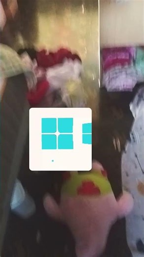 windows 11 with windows XP and windows ME 2000