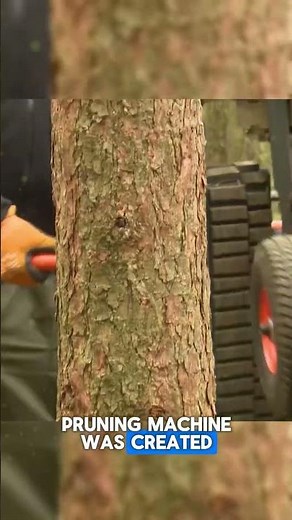 The Most Efficient Automatic Tree Pruning Device Ever