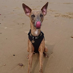 She's madder than Mad Jack McMad, the winner of last year's "Mr....