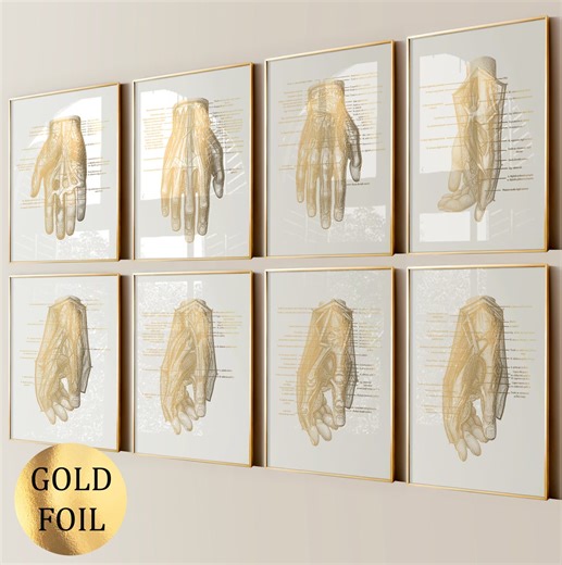 8 Gold Hand Anatomy Art Palm Structure Diagram Medical Art Muscles Veins Ligaments Massage Clinic Wall Decor Surgeon Gift Gold Foil Print - Etsy