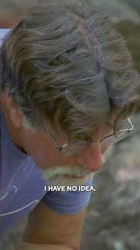 The Most Interesting Find Yet! | The Curse of Oak Island | #shorts