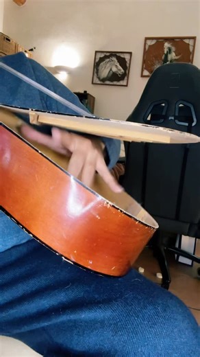 LucasGitanoFamily on Instagram: "Cat in Boots solo guitar performance acoustic flamenco Spanish tango Pasodoble Mexico gato con bots fear me if you dare #guitartok #guitarra #guitarist"