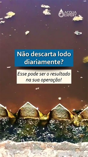 Não descarta lodo diariamente? Cuidado! 👀