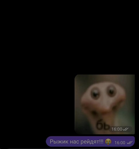 @luchi_tmi_bot | #бот #общение #переписка #глобальныерекомендации #ботдляподдержки #рекомендации #fup