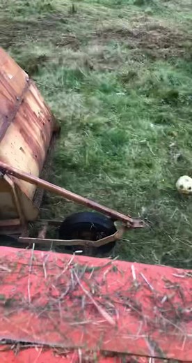 Roberrt (@robert000035)’s videos with original sound - Roberrt