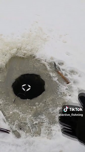 Karauschen Angeln auf Eis: Tipps und Erfahrungen