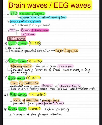 BRAIN WAVES / EEG WAVES. #physiology #brainwave #eeg #trendingshorts