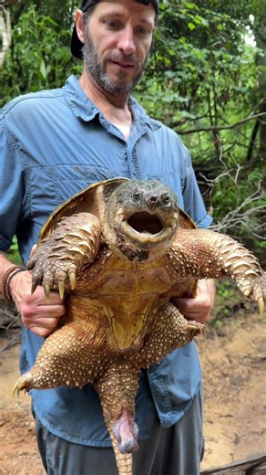 Leechbeard the Snapping Turtle!