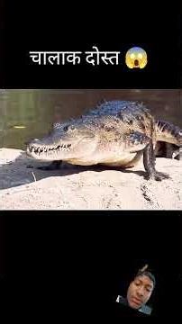 चालाक दोस्त 😱 l hollywood movie explained in Hindi/Urdu #shorts