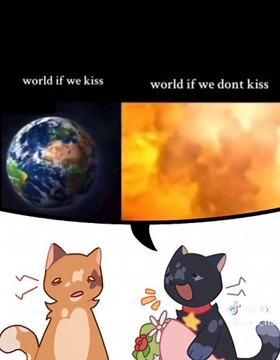 Cute Cat Compilation: Funny and Silly Cats Exploding with Cuteness!