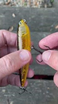 Surface Walker 3 09 2026 #jeffmcgovern #pestcoach #topwaterlure