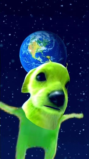 Alien Dog 🤪SaReGaMa🤪weird 😂