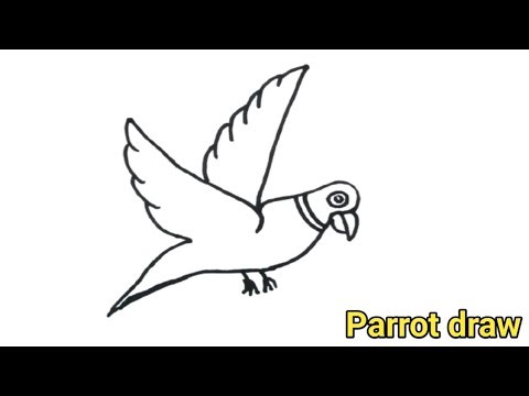 Beautiful Parrot Drawing | Easy parrot For Beginner || @kspdrawing 