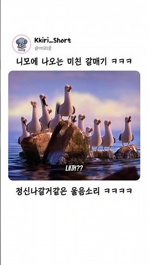 갈매기 공포증 생기겠다 ㅋㅋㅋ 🎬영화 '니모를 찾아서' #영화 #영화리뷰