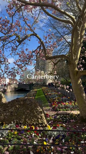 Can’t get enough of England’s beautiful spring colours 🌸🌺 Hope you all are having a nice day ☀️ England has so many beautiful cities and villages that become even more wonderful when spring comes around so here are a few pretty places to visit 😍 1. Canterbury 2. Rye 3. Arundel Castle 4. Rochester 5. Norwich 📸 @charlotteswonderland ⬅️ follow for more !😍👏 Follow us & use #unitedkingdomdaily to be featured. 💯 📌Save this post for your future trip to UK 🇬🇧 🔖Tag & Share with someone You’d l