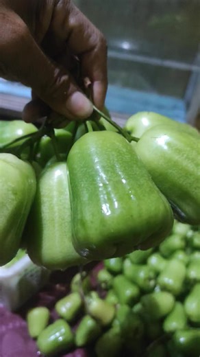 Meidi Kamsi on Reels