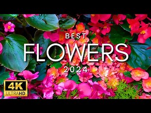 Famous Island of Amazing Flower Gardens | Flowers & Peaceful Music for Relaxing - Mackinac Island