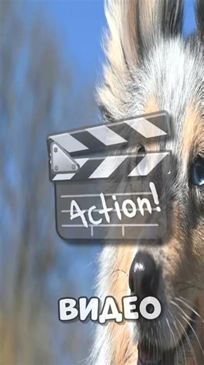 #redstone #commandblock #build