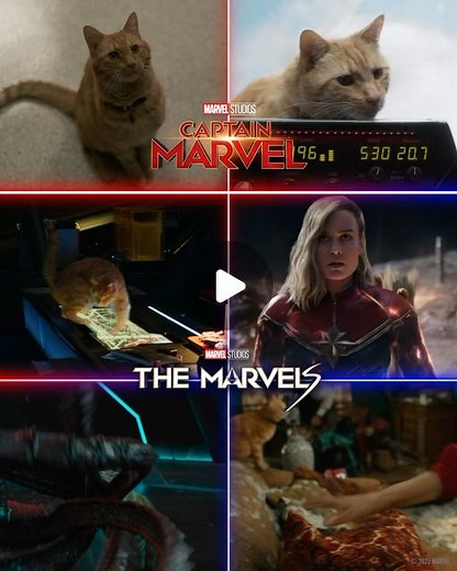 Marvel Studios on Instagram: "✅ ALIEN ✅ GALAXY SAVER ✅ ALWAYS HUNGRY See Goose in #TheMarvels, now playing in theaters. Get tickets now at the link in bio. Additional titles now streaming on @DisneyPlus."