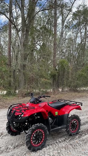 Explore the Honda 250 Recon: Power and Performance