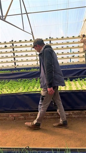 aquaponics_futurefarming on TikTok