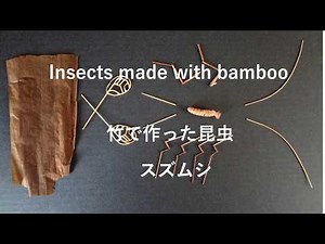 Insects made with bamboo 竹で作った昆虫（スズムシ） 竹細工