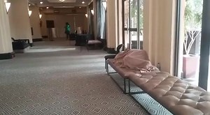 2K views | NBC Digital News on Reels | Facebook