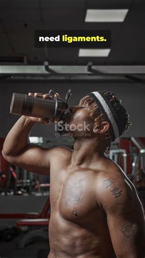 #studioghibli #lifeisbutadream #christmaseve #motivation