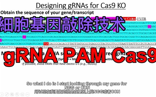 细胞基因编辑技术：gRNA、PAM、Cas9