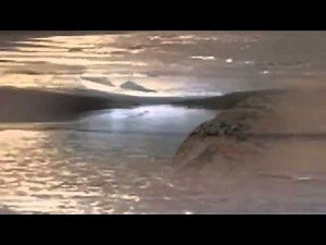Tu es Pure Conscience - Méditation guidée