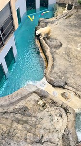 2025-09-01 ⁡ 一昨日のホッキョクグマのホクト🐻‍❄️🫧 ＊ #旭山動物園 #asahiyamazoo #動物園 #zoo #北海道 #hokkaido #旭川 #asahikawa #動物 #animal #ホッキョクグマ #polarbear #ホクト #ほっきょくぐま館 | 旭川市旭山動物園（Asahiyama Zoo）
