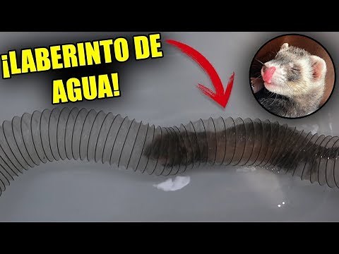 HACEMOS UN LABERINTO IMPOSIBLE DE AGUA CON LYNA | ¿TENDRÁ LA BEBÉ QUE NADAR?