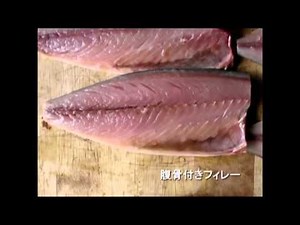 TOYO-764 Filleting Machine for Mackerel SABA