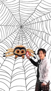 Godfrey is perfection 🫶🏼 #ty #beaniebabies #beanieboos #tybeanies #beaniebellies #halloween #spider #godfrey #gimmebeanie | Ty