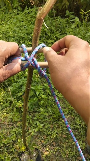 “Satisfying Rope Knot to Bind Sticks 😮 | Perfect Stick Binding”🪢#ropeknot #knottying #ropetricstick