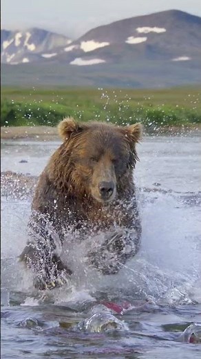 Running Wild: Return to the River