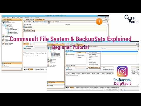 Commvault File System Backup Explained | BackupSet & SubClient (Beginner Guide)