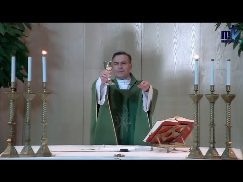 La Santa Misa de hoy | Lunes de la IV semana del Tiempo Ordinario | 29-01-2024 |P. Javier Martín, FM