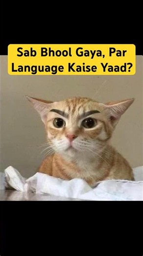 Memory Loss Ka Sabse Bada Rahasya! 🧐 #shorts @FunnyCat