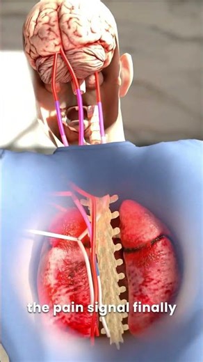 How Your Body Reacts the Moment You Touch Something Hot 😨 #shorts