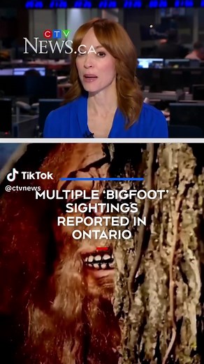 Chatham-Kent Bigfoot Sightings Spark Community Chatter