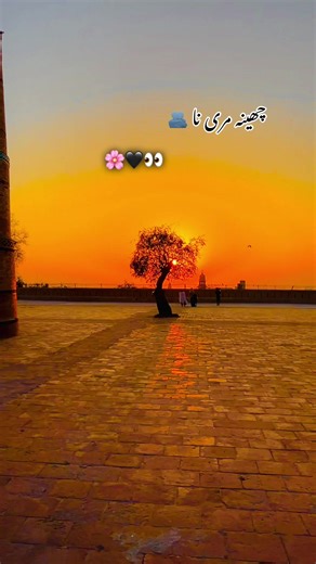 #سنگت_ویڈیو_وائرل_کریسو_آپ_ہیں #foryoupage❤️❤️ #foryoupage❤️❤️ #foryou #foruyou