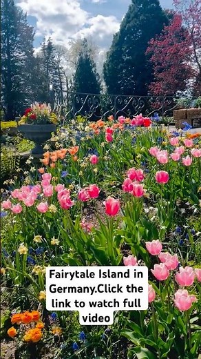 Mainau Island: Magical Flower Island in Germany 🇩🇪