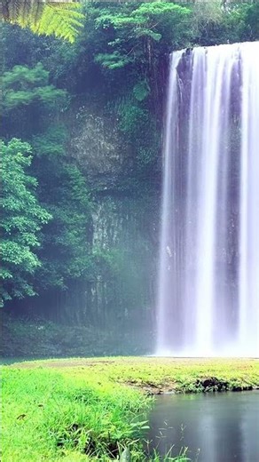 Don’t Scroll… Just Listen 🌊 | Relaxing Waterfall Sounds #shorts