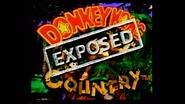 Donkey Kong Country Promo VHS