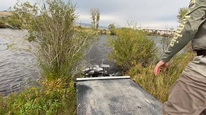 938 reactions · 54 shares | INTRODUCING THE STEALTH X: This 2 or 3-person inflatable boat is a great two seater with plenty of room in the back for a 3rd angler (and even has a lean bar option for them). It’s 12 foot length allows you to easily transport it in the back of your truck or car roof top, while still having the extra width and self bailing options of our 3-man. No trailer needed! | Flycraft | Facebook