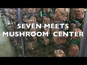 【vol.8】きのこ屋が教える菌床作り「接種編」