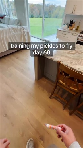 flying pickles? | Grillo's Pickles